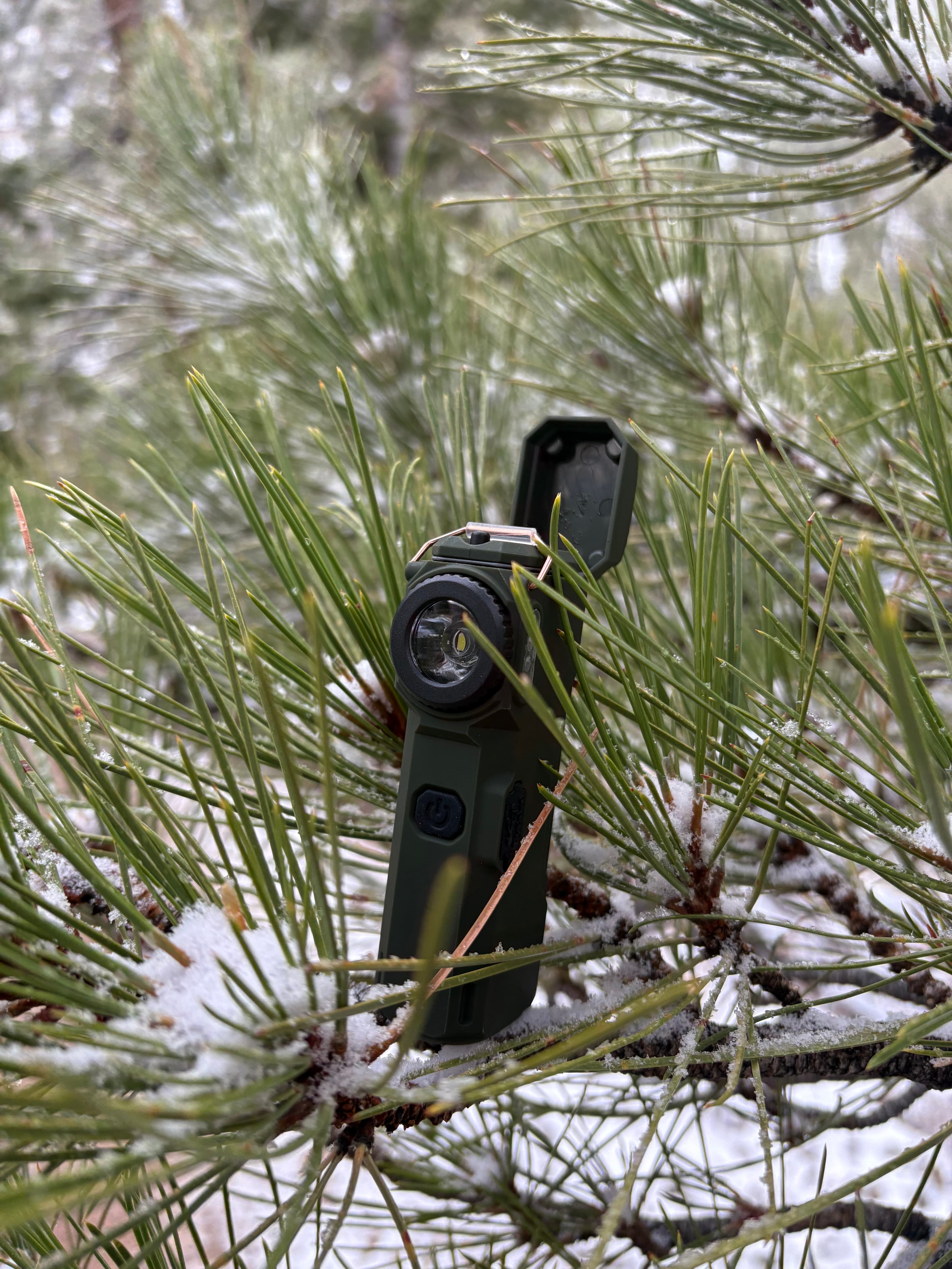 The Arc 80 resting in snow-dusted pine branches